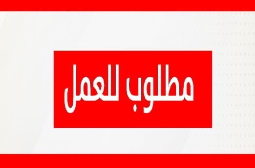 مطلوب عمال