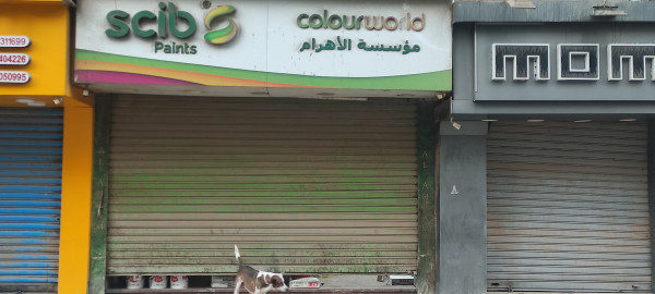 طالبيه فيصل أمام رئاسة حى الهرم مباشر