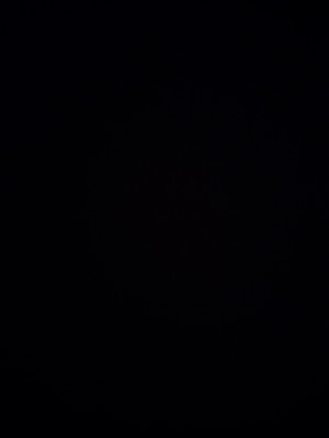 مصنع توابل بصل في ٦ اكتوبر