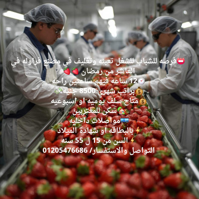 فرصه للشباب للشغل تعبئه وتغليف في مصنع فراوله في العاشر من رمضان