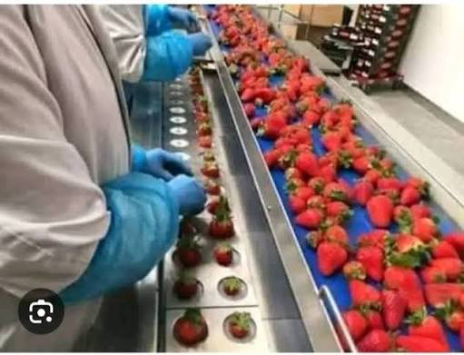 العاشر من رمضان