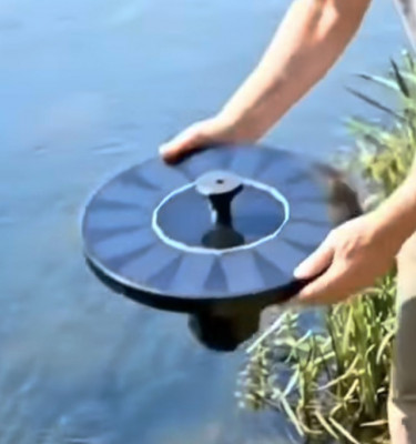 شقه مفروشه للإيجار بالإسكندرية