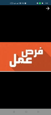 فى المعادى