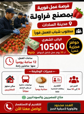 مدينه السادات