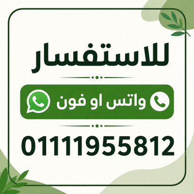 المعادي