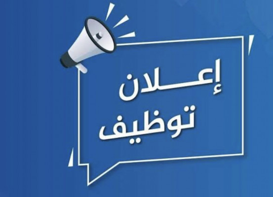 القاهره الشيخ زايد