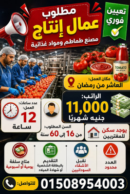 المنوفيه