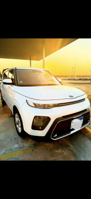 المنصورة