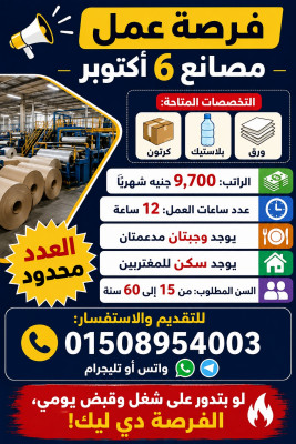 فرص عمل للشباب