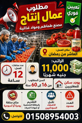 فرص عمل للشباب