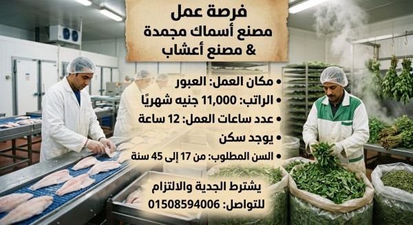 القاهره
