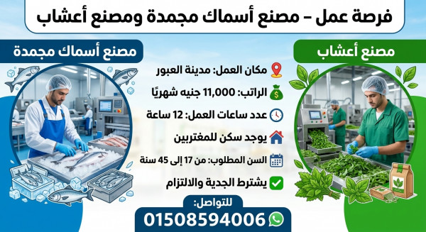 القاهره