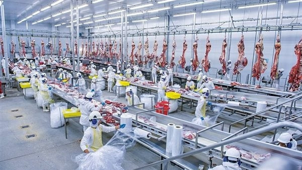 مطلوب عامل إنتاج  مصنع لحوم وأطياب وبانيه العبور