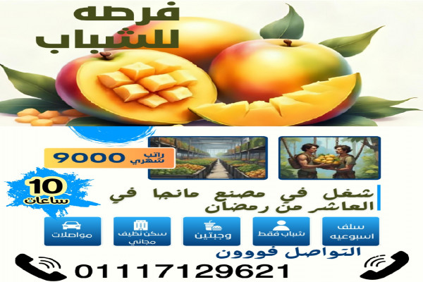 مطلوب عمال انتاج لمصنع مانجا