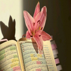 Yasmeen ali
